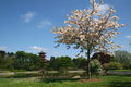 0 Château Royal de Laeken - Jardins 2.JPG