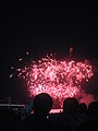2008 Busan Firework Festival-Firework5.JPG