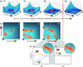 Alternative stable states, critical transitions, and the direction of critical slowing down.png