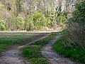 Gronsfurth, Rendsburg (P1100733).jpg