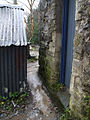 "A rat's pad", Omagh - geograph.org.uk - 1193200.jpg