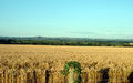 040719 172 dorset marnhull.jpg