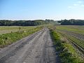 Polna droga do Stramnicy (Feldweg nach Alt Tramm) - panoramio.jpg