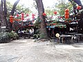 Lanterns hung around huge tree, Ipoh, Malaysia.jpg