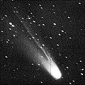 Comet Arend-Roland May 4.967, 1957.jpg