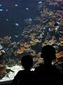 BLW Children at the Aquarium.jpg