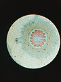 Cross section of lycopodium.jpg