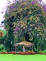 A summer hut in a bungalow.jpg