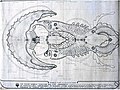 Nexus Mobile Floating Sea City Plan.jpg