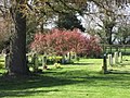 "A Place of Rest" -St Barnabas churchyard, Thornton-le-Moor - geograph.org.uk - 1806206.jpg