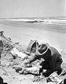 Man on beach with fossils (3567382155).jpg