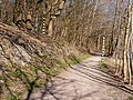 Am Treidelweg, Büdelsdorf (P1100438).jpg