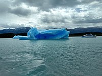 Iceberg and boat lago argentino.jpg