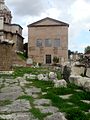 04304 - Roma - Fori - Curia Iulia - Foto Giovanni Dall'Orto - 18-Mar-2008.jpg