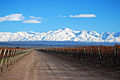 Bodega chakana nieve y camino.jpg