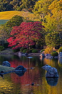 Scenery of Shinji pond at Expo’70 Commemorative Park in Osaka.jpg