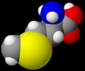 Methionine model.png