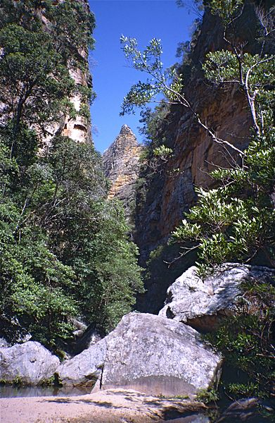 File:" Canyon des Singes " (9589928010).jpg