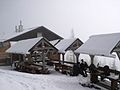 050320 SB baumgart01.jpg