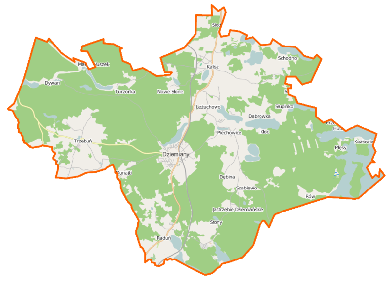 File:Dziemiany (gmina) location map.png
