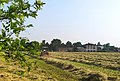 Countryside view in Gerole Borgosatollo Italy.jpg